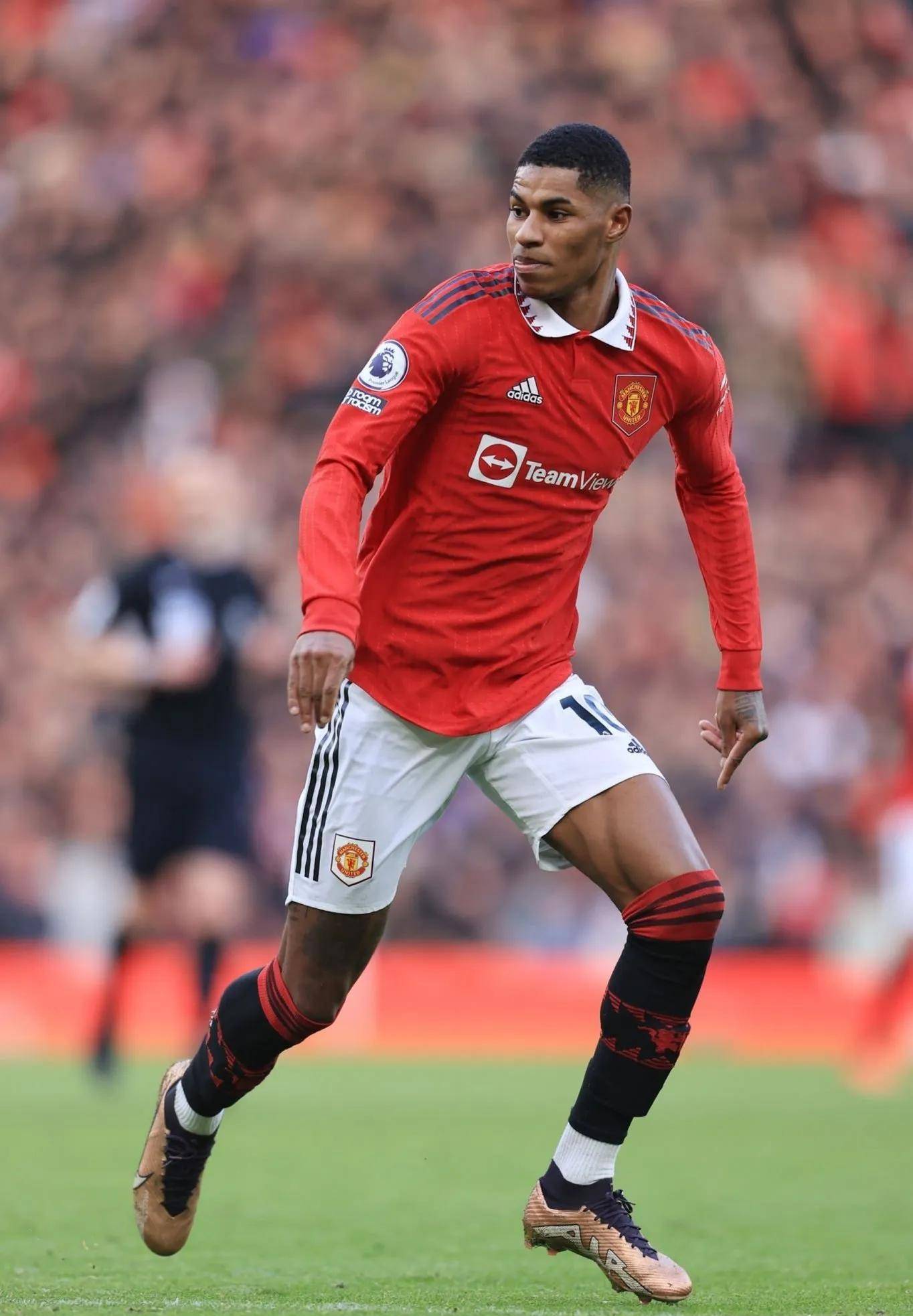 尔西之间 尔西之间